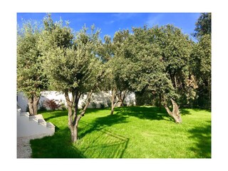 Casa per le vacanze Uzès Registrazione all'aperto 3