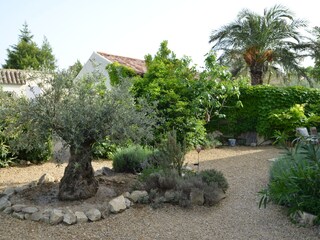 Zwischen Terrasse und Pool
