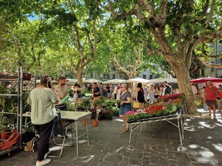 Casa per le vacanze Flaux Ambiente 34