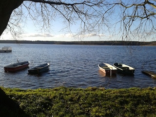 there are no motor boats on this lake