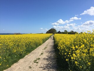 Fußweg nach Lippe