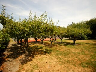 Holiday house Westenschouwen  23