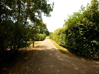 Holiday house Westenschouwen Environment 17