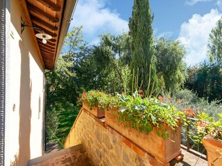 Casa de campo Cortona Características 17