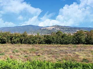 Casa de campo Cortona Entorno 23
