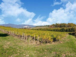 Casa de campo Cortona Entorno 25