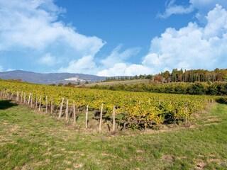 Bauernhof Cortona Umgebung 8