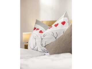 Chalet Ramsau im Zillertal Caratteristiche 9