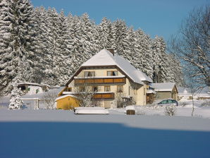 Ferienwohnung Spiegelhaldenhäusle - Titisee-Neustadt - image1