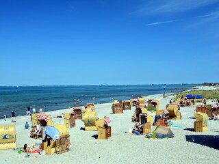 Ostseestrand