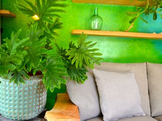 Casa per le vacanze Heiloo Caratteristiche 9