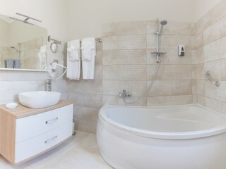 Villa Višnjan Caratteristiche 16