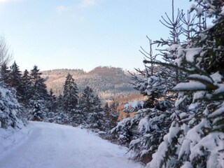 Apartment Eslohe Environment 34