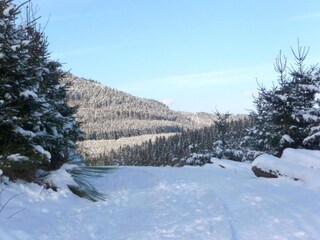 Appartement Eslohe Environnement 35