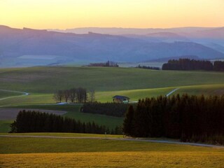 Apartamento Eslohe Entorno 38