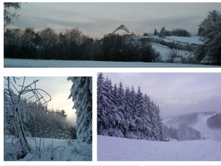 Winterimpressionen