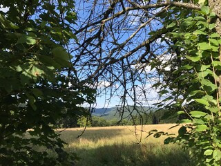 Frühling im Sauerland