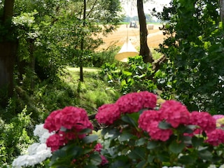 Flower-Power at Warft Simmerdeis