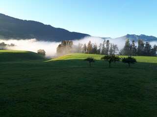 Appartamento per vacanze Egg in Vorarlberg Ambiente 25