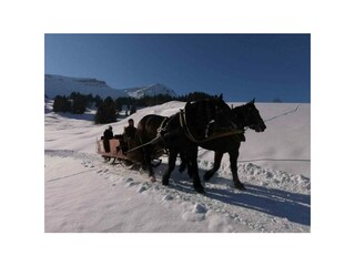 Vakantieappartement Egg in Vorarlberg Omgeving 31