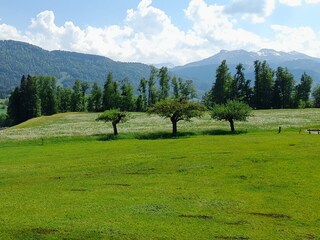 Vakantieappartement Egg in Vorarlberg Buitenaudio-opname 6