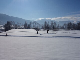 Appartamento per vacanze Egg in Vorarlberg Ambiente 26