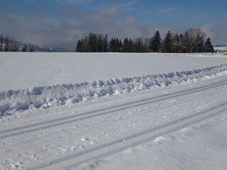 Appartamento per vacanze Egg in Vorarlberg Ambiente 27