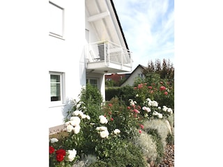 Blick auf die Terrasse