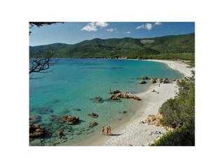 Beach near the house