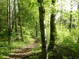 Appartamento per vacanze Chieming Ambiente 19