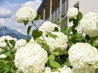 Appartamento per vacanze Lana Registrazione all'aperto 12