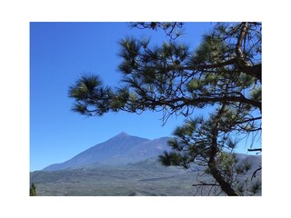 Wander auf Teneriffa