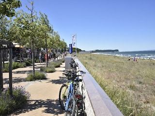 Apartment Sellin Umgebung 36