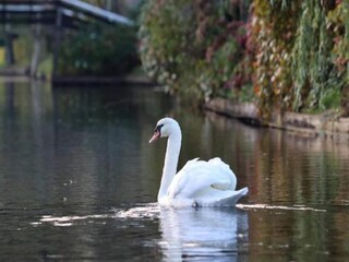 Maison de vacances Giethoorn Environnement 35