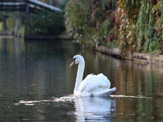 Vakantiehuis Giethoorn Omgeving 35