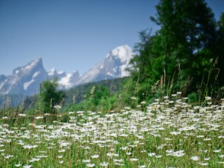 Holiday apartment Bischofswiesen Outdoor Recording 6