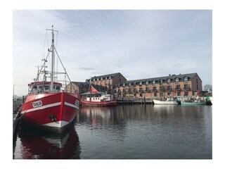 Ferienwohnung Heiligenhafen Umgebung 36