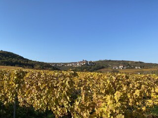 Wundervoller Blick auf Neuleiningen