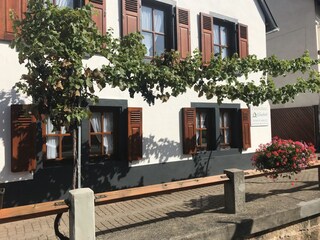 Ferienhaus Kleinkarlbach Außenaufnahme 10