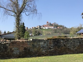 Blick vom Garten auf die Neuleininger Burg