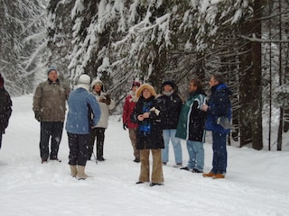 Wandern durch tief verschneite Wälder