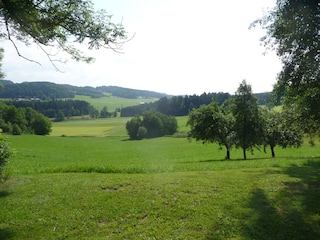 Aussicht vom Balkon