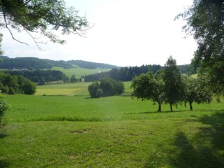 Vakantiehuis Eppenschlag Omgeving 7