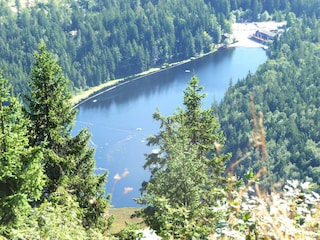 Mittagsplatz mit Blick zum großen Arbersee