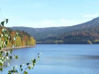 Trinkwassertalsperre bei Frauenau