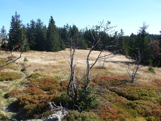 Casa per le vacanze Eppenschlag Ambiente 25