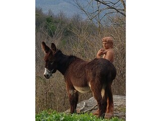 Apartamento de vacaciones Torre Alfina Grabación al aire libre 6