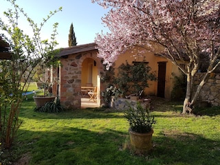 Holiday apartment Torre Alfina Environment 9