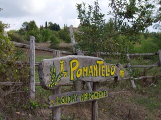 Appartamento per vacanze Torre Alfina Registrazione all'aperto 9