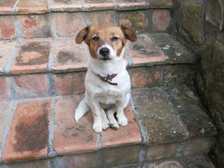 Appartamento per vacanze Torre Alfina Registrazione all'aperto 12